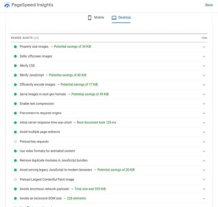 Passed Audits Section PageSpeed Insight
