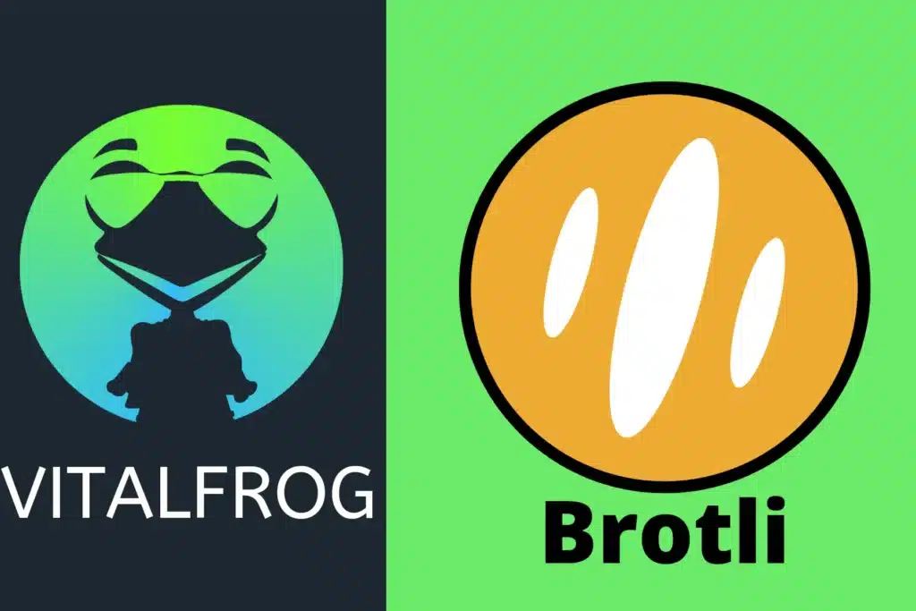 Brotli VS GZIP || Which Of These Will Make Your Website Faster? 1 Brotli compression algorithms