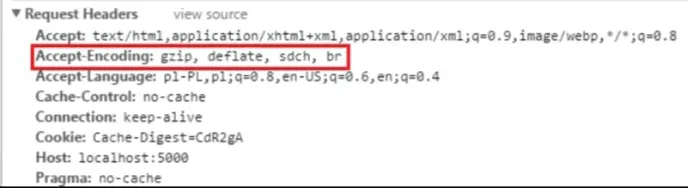 Brotli VS GZIP || Which Of These Will Make Your Website Faster? 2 Content-Encoding for a browser
